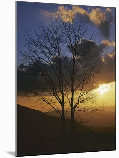 Sunset from Appalachian Trail, Shenandoah National Park, Virginia, USA-Charles Gurche-Mounted Photographic Print