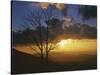 Sunset from Appalachian Trail, Shenandoah National Park, Virginia, USA-Charles Gurche-Stretched Canvas