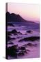 Sunset from Big Sur Coast-Darrell Gulin-Stretched Canvas