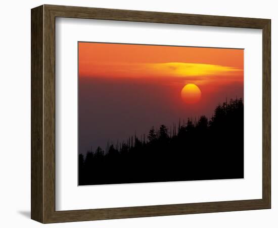 Sunset from Clingmans Dome, Great Smoky Mountains National Park, Tennessee, USA-Joanne Wells-Framed Photographic Print