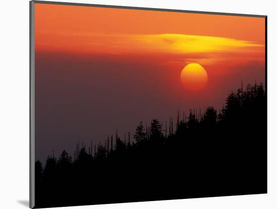 Sunset from Clingmans Dome, Great Smoky Mountains National Park, Tennessee, USA-Joanne Wells-Mounted Photographic Print