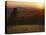 Sunset from Hazeltop Ridge, Shenandoah National Park, Virginia, USA-Charles Gurche-Stretched Canvas