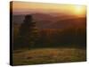 Sunset from Hazeltop Ridge, Shenandoah National Park, Virginia, USA-Charles Gurche-Stretched Canvas