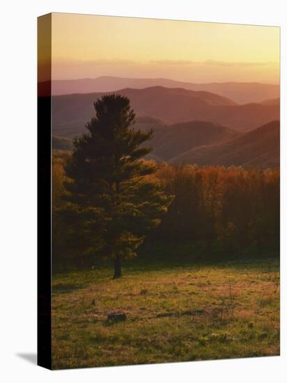 Sunset from Hazeltop Ridge, Shenandoah National Park, Virginia, USA-Charles Gurche-Stretched Canvas