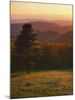 Sunset from Hazeltop Ridge, Shenandoah National Park, Virginia, USA-Charles Gurche-Mounted Photographic Print