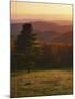 Sunset from Hazeltop Ridge, Shenandoah National Park, Virginia, USA-Charles Gurche-Mounted Photographic Print