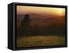 Sunset from Hazeltop Ridge, Shenandoah National Park, Virginia, USA-Charles Gurche-Framed Stretched Canvas