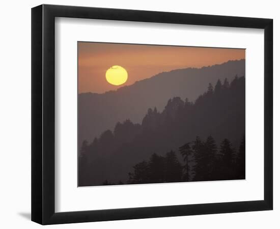 Sunset from Morton Overlook, Great Smoky Mountains National Park, Tennessee, USA-Adam Jones-Framed Photographic Print