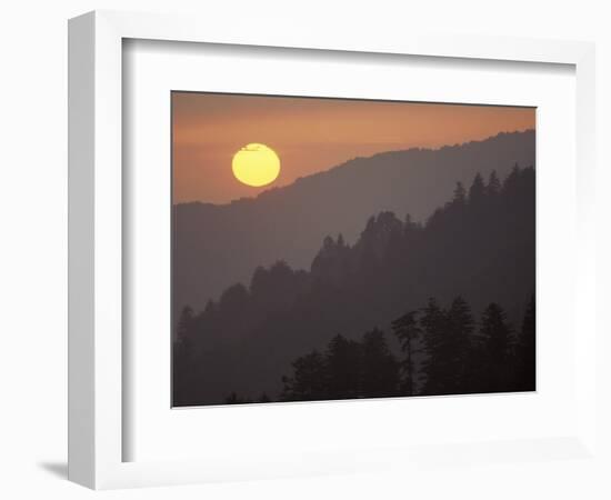 Sunset from Morton Overlook, Great Smoky Mountains National Park, Tennessee, USA-Adam Jones-Framed Photographic Print