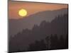 Sunset from Morton Overlook, Great Smoky Mountains National Park, Tennessee, USA-Adam Jones-Mounted Photographic Print