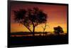 Sunset from Ngweshla Camp, Hwange National Park, Zimbabwe, Africa-David Wall-Framed Photographic Print