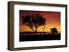 Sunset from Ngweshla Camp, Hwange National Park, Zimbabwe, Africa-David Wall-Framed Photographic Print