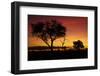 Sunset from Ngweshla Camp, Hwange National Park, Zimbabwe, Africa-David Wall-Framed Photographic Print