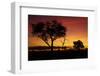 Sunset from Ngweshla Camp, Hwange National Park, Zimbabwe, Africa-David Wall-Framed Photographic Print