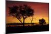 Sunset from Ngweshla Camp, Hwange National Park, Zimbabwe, Africa-David Wall-Mounted Photographic Print