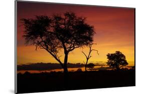 Sunset from Ngweshla Camp, Hwange National Park, Zimbabwe, Africa-David Wall-Mounted Photographic Print