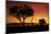 Sunset from Ngweshla Camp, Hwange National Park, Zimbabwe, Africa-David Wall-Mounted Photographic Print