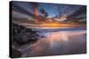 Sunset from Tamarach Beach in Carlsbad, Ca-Andrew Shoemaker-Stretched Canvas