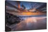 Sunset from Tamarach Beach in Carlsbad, Ca-Andrew Shoemaker-Stretched Canvas