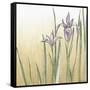 Sunset Garden I-Chariklia Zarris-Framed Stretched Canvas