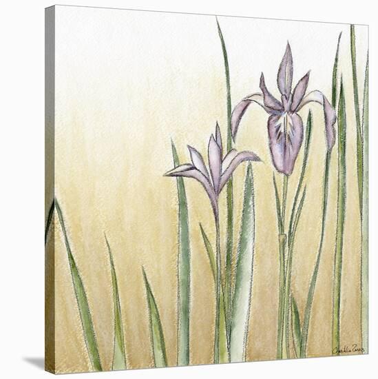 Sunset Garden I-Chariklia Zarris-Stretched Canvas