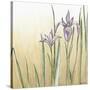 Sunset Garden I-Chariklia Zarris-Stretched Canvas