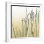 Sunset Garden I-Chariklia Zarris-Framed Art Print