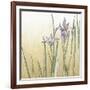 Sunset Garden I-Chariklia Zarris-Framed Art Print