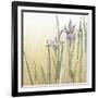 Sunset Garden I-Chariklia Zarris-Framed Art Print