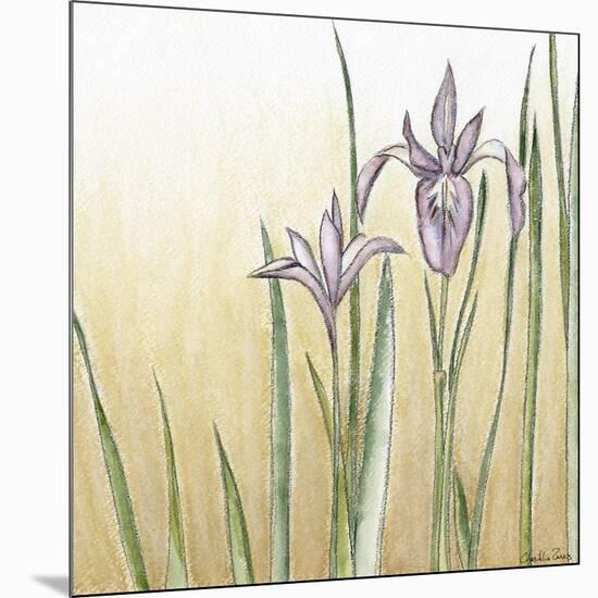 Sunset Garden I-Chariklia Zarris-Mounted Art Print