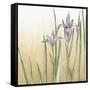 Sunset Garden I-Chariklia Zarris-Framed Stretched Canvas