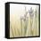 Sunset Garden I-Chariklia Zarris-Framed Stretched Canvas