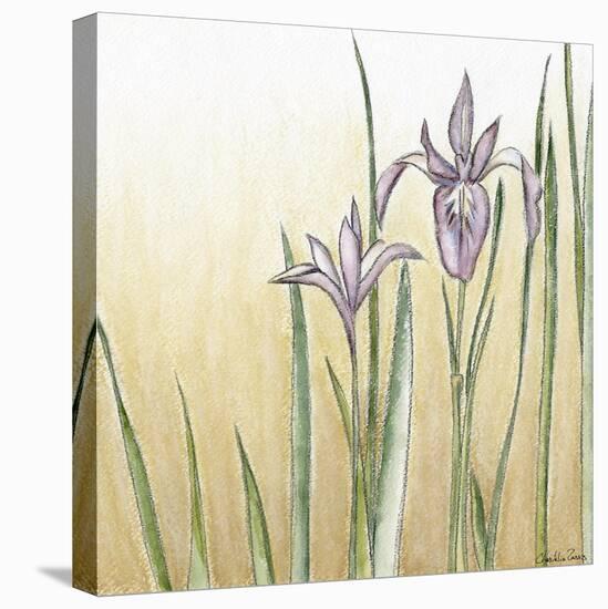 Sunset Garden I-Chariklia Zarris-Stretched Canvas