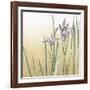 Sunset Garden I-Chariklia Zarris-Framed Art Print