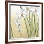 Sunset Garden II-Chariklia Zarris-Framed Art Print