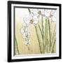 Sunset Garden II-Chariklia Zarris-Framed Art Print