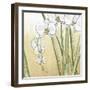 Sunset Garden II-Chariklia Zarris-Framed Art Print