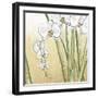 Sunset Garden II-Chariklia Zarris-Framed Art Print