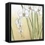 Sunset Garden II-Chariklia Zarris-Framed Stretched Canvas