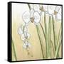 Sunset Garden II-Chariklia Zarris-Framed Stretched Canvas