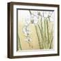 Sunset Garden II-Chariklia Zarris-Framed Art Print