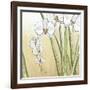 Sunset Garden II-Chariklia Zarris-Framed Art Print