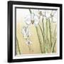 Sunset Garden II-Chariklia Zarris-Framed Art Print