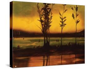 Sunset Glow-Judith D'Agostino-Stretched Canvas