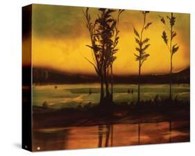 Sunset Glow-Judith D'Agostino-Stretched Canvas