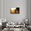 Sunset Grazing I-Donnie Quillen-Framed Stretched Canvas displayed on a wall