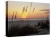 Sunset, Gulf Coast, Longboat Key, Anna Maria Island, Beach, Florida, USA-Fraser Hall-Stretched Canvas