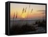 Sunset, Gulf Coast, Longboat Key, Anna Maria Island, Beach, Florida, USA-Fraser Hall-Framed Stretched Canvas