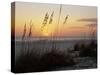 Sunset, Gulf Coast, Longboat Key, Anna Maria Island, Beach, Florida, USA-Fraser Hall-Stretched Canvas