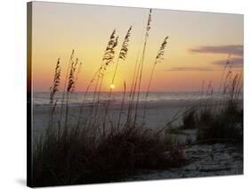 Sunset, Gulf Coast, Longboat Key, Anna Maria Island, Beach, Florida, USA-Fraser Hall-Stretched Canvas
